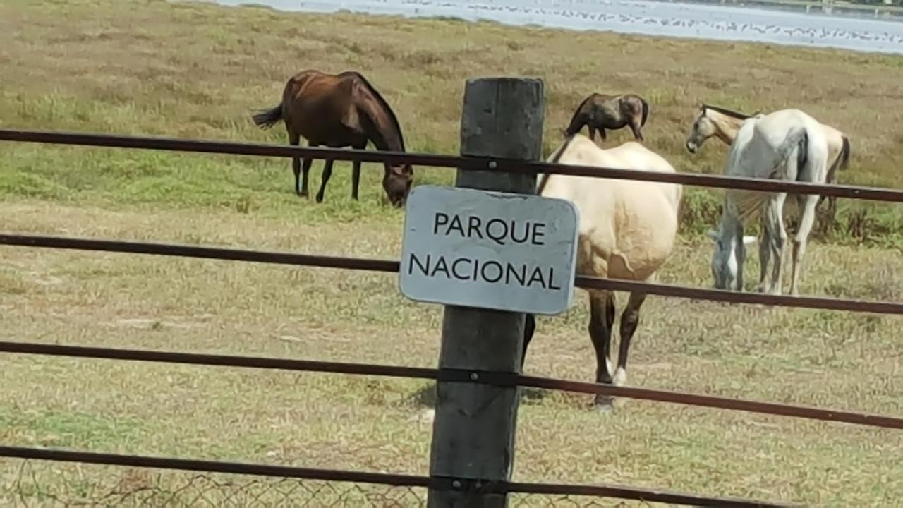 Hospederia Rural Las Buganvillas El Rocío Esterno foto
