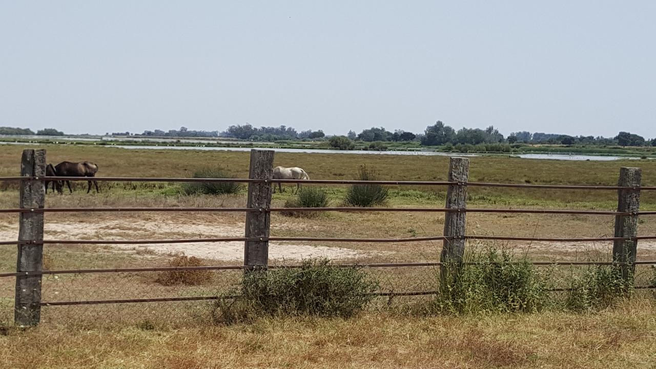Hospederia Rural Las Buganvillas El Rocío Esterno foto