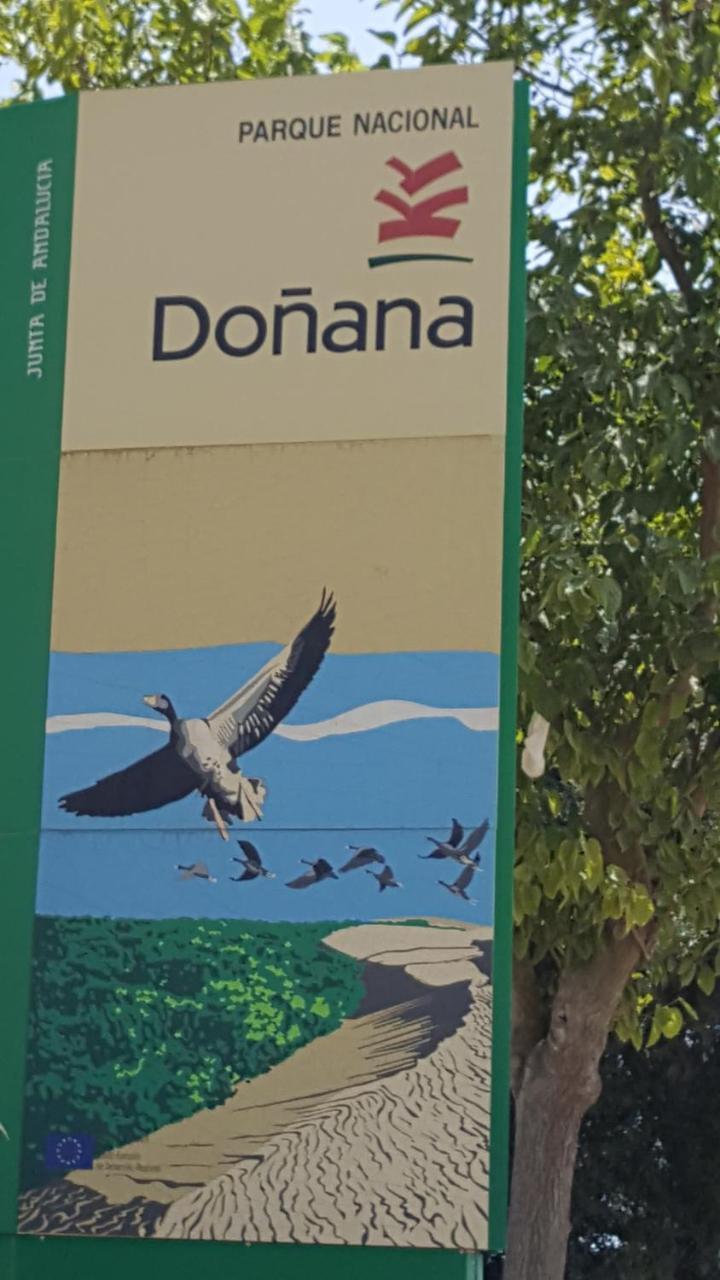 Hospederia Rural Las Buganvillas El Rocío Esterno foto